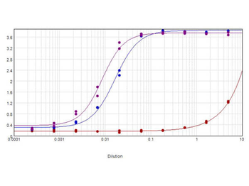 Mouse IgG (H&L) Antibody Biotin Conjugated