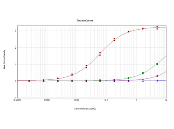 Rabbit IgG (H&L) Antibody Pre-Adsorbed