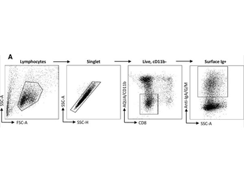 Ferret IgG IgA IgM (H&L) Antibody Fluorescein Conjugated