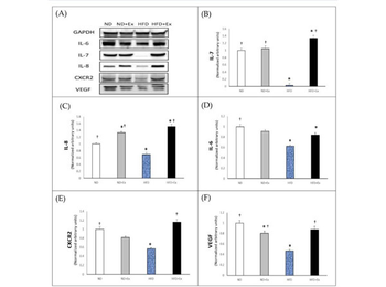 Ripa Lysis Buffer