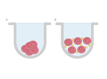 Sheep Hemagglutination ELISA Kit