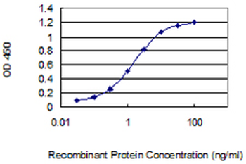 SPINK6 monoclonal antibody (M04), clone 3C10