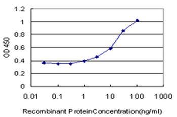 SLC26A5 monoclonal antibody (M04), clone 1F4