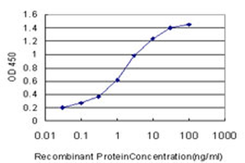 RAB7B monoclonal antibody (M01), clone 3B3