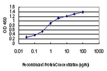 KSR2 monoclonal antibody (M08), clone 1G4