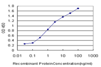 PTF1A monoclonal antibody (M05), clone 1A2