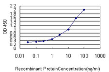 RICTOR monoclonal antibody (M01), clone 1F3