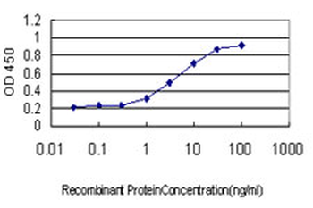 RNASEH1 monoclonal antibody (M01), clone 5D10