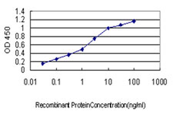 UBR1 monoclonal antibody (M01), clone 2F5