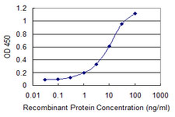 CNKSR3 monoclonal antibody (M01), clone 4A11