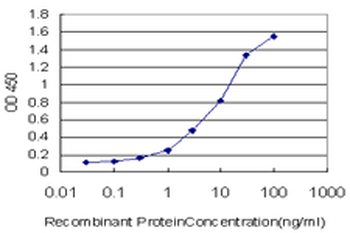 SYT2 monoclonal antibody (M01), clone 1G10