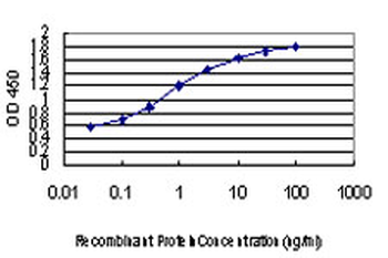 NEDD1 monoclonal antibody (M05), clone 7D10