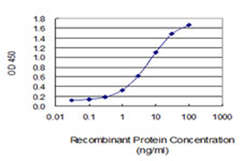 FMNL2 monoclonal antibody (M01), clone 2B4