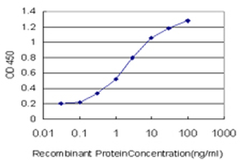 MGC21874 monoclonal antibody (M08), clone 1C8