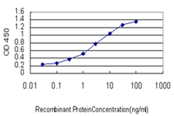 NEK9 monoclonal antibody (M01), clone 1F6