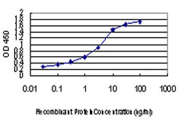 DOT1L monoclonal antibody (M01), clone 6A6