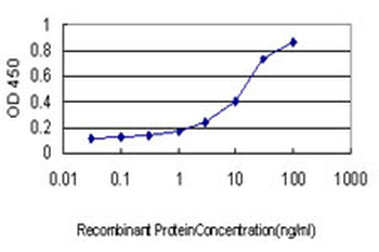 USP48 monoclonal antibody (M01), clone 3G4