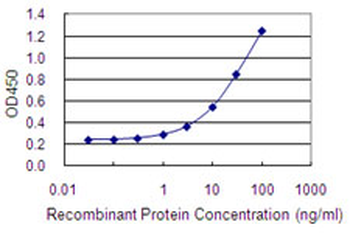 LOXL4 monoclonal antibody (M01), clone 4H7