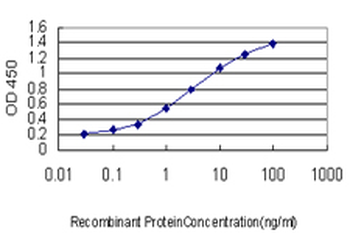 RAB33B monoclonal antibody (M01), clone 6F4