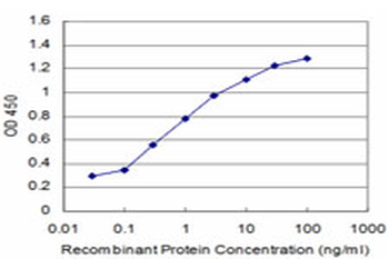 NANOG monoclonal antibody (M04), clone 3A12