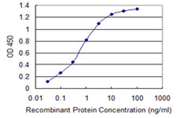 TBL1XR1 monoclonal antibody (M01), clone 3G7