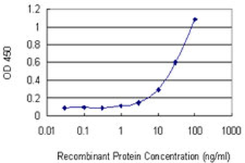 STK33 monoclonal antibody (M02), clone 6G1