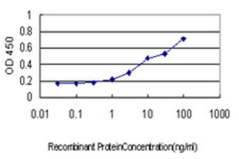 NADK monoclonal antibody (M01), clone 5F4