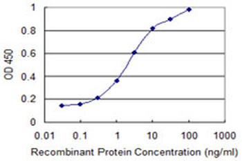 FKBP10 monoclonal antibody (M02), clone 3B5