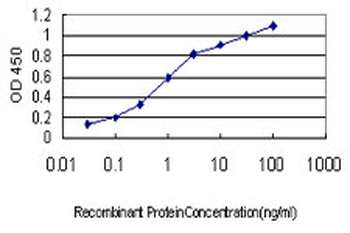NGB monoclonal antibody (M01), clone 2B5-A7