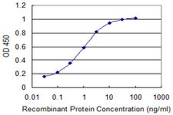 SRGAP1 monoclonal antibody (M07), clone 5D10