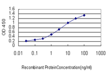 SRGAP1 monoclonal antibody (M03), clone 5D2