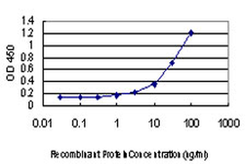 XPO5 monoclonal antibody (M01), clone 2C5-1B3