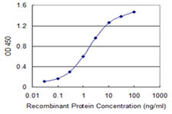 SCYL1 monoclonal antibody (M02), clone 2E5
