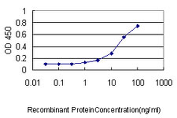 RHOJ monoclonal antibody (M01), clone 1E4