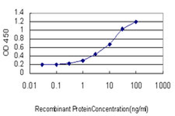 ZNF313 monoclonal antibody (M01), clone 4G3-1A10