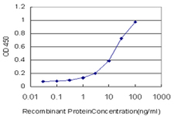 HDAC8 monoclonal antibody (M01), clone 2F4