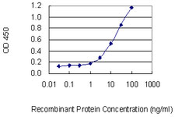 IL26 monoclonal antibody (M08), clone 2A8