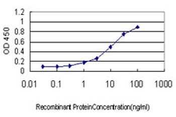 RHOT1 monoclonal antibody (M01), clone 4H4