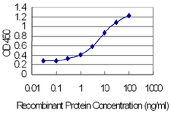 ODAM monoclonal antibody (M02), clone 2F8