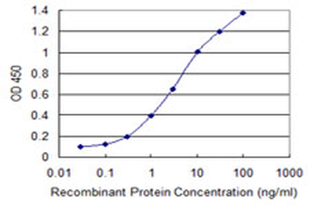 RNF111 monoclonal antibody (M05), clone 1C4