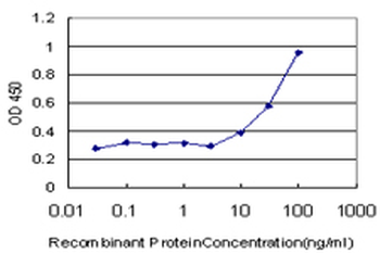 ROPN1 monoclonal antibody (M03), clone 4E11
