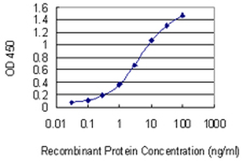 RNF186 monoclonal antibody (M01), clone 4F10