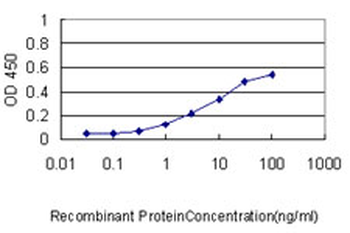 RIPK4 monoclonal antibody (M01), clone 2G3