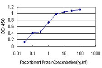 ANAPC11 monoclonal antibody (M01), clone 1B4-1A4