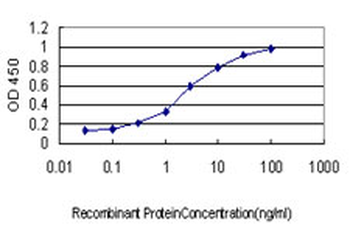 TRAPPC4 monoclonal antibody (M01), clone 2D10