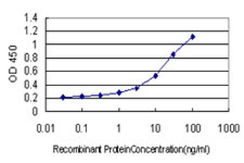 SLC45A2 monoclonal antibody (M01), clone 2F4