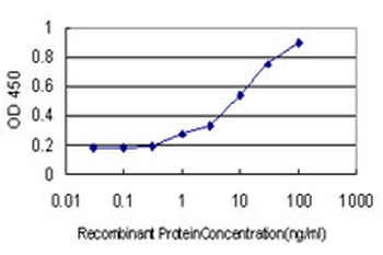 DEF6 monoclonal antibody (M01), clone 1F2