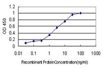 TAX1BP3 monoclonal antibody (M01), clone 4A10