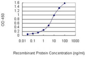 CLEC2D monoclonal antibody (M01), clone 4C7