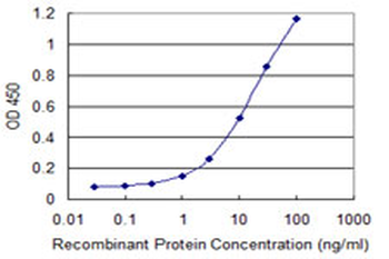 FLVCR monoclonal antibody (M05), clone 4B2